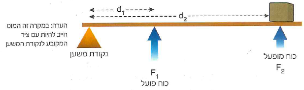 (בספר איור, היעזר במנחה)